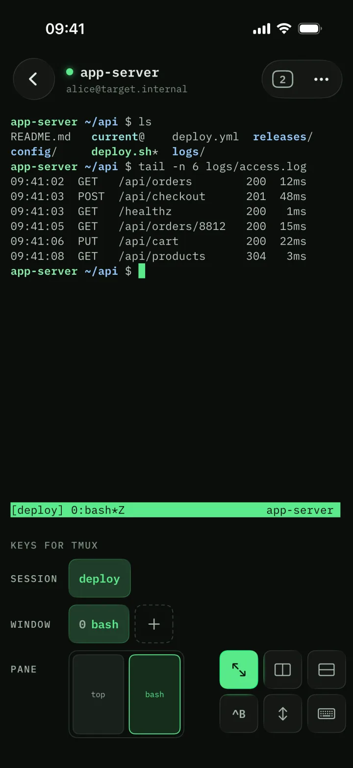Termfox attached to tmux, with buttons for the session, windows and panes.