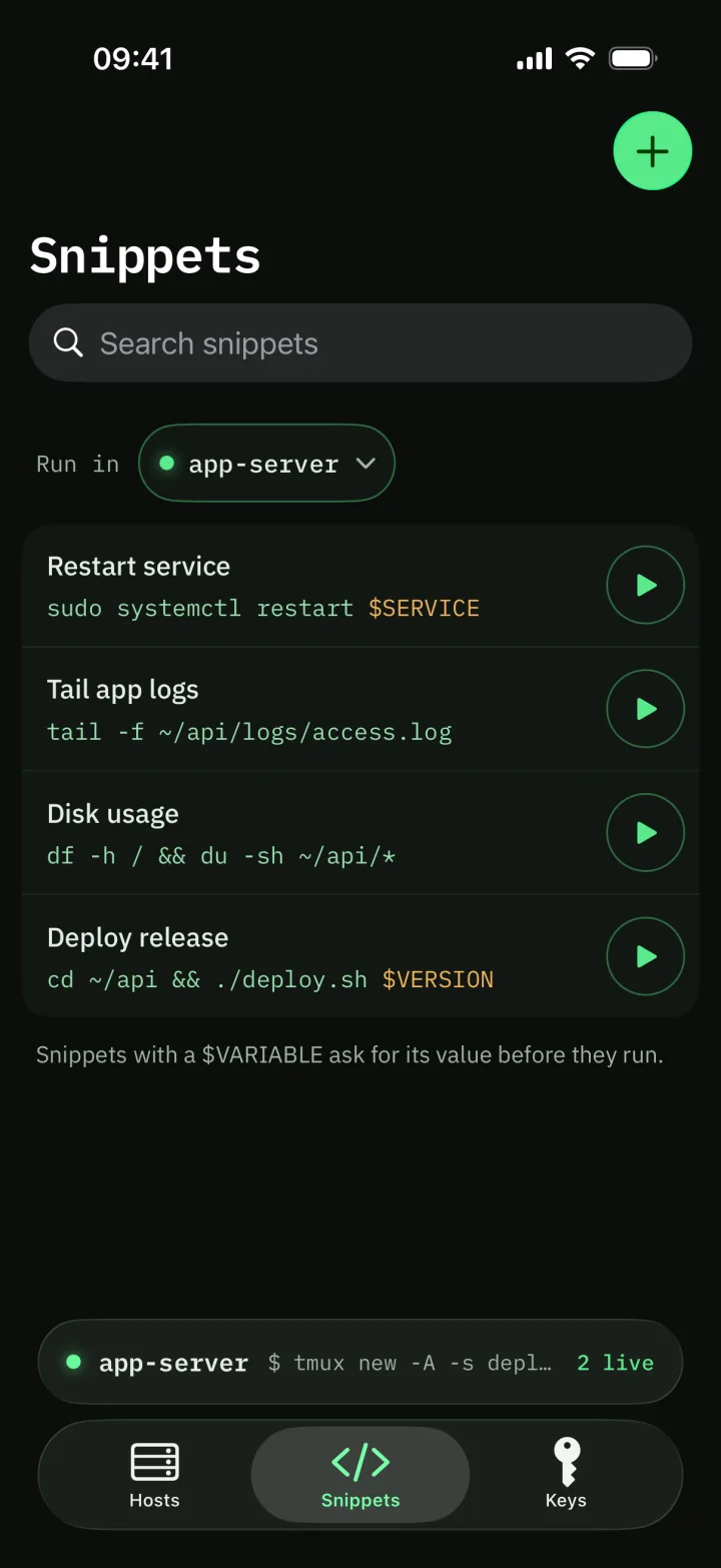 The snippets list with Restart service, Tail app logs, Disk usage and Deploy release, set to run in app-server.