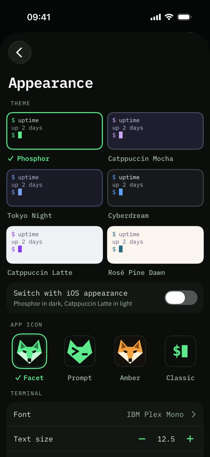The appearance settings with six terminal themes and four app icons.